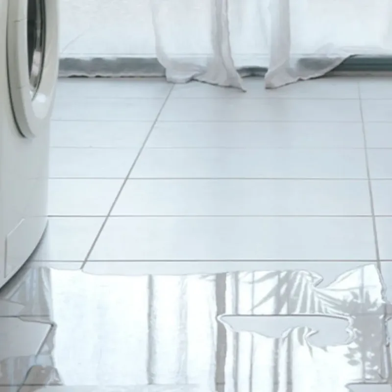 Appliance Leak Cleanup in Mount Morris, NY