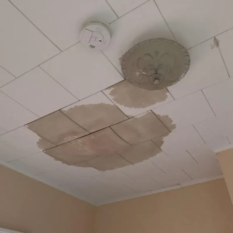 Ceiling Water Damage Repair in Mount Morris, NY