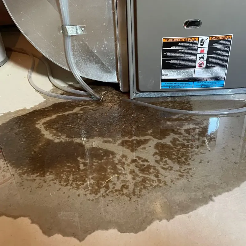 Pipe Burst and Leak Restoration in Mount Morris, NY