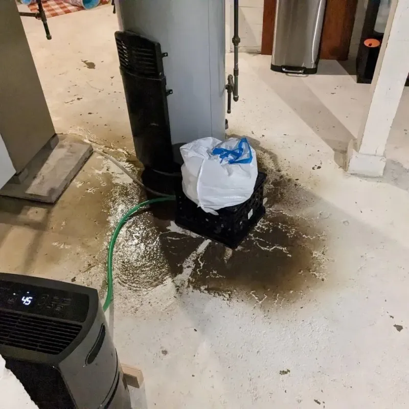 Sewage Backup Cleanup Service in Mount Morris, NY